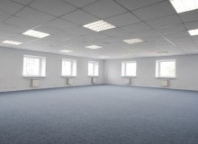 Kwikfynd Skylights
bonegilla